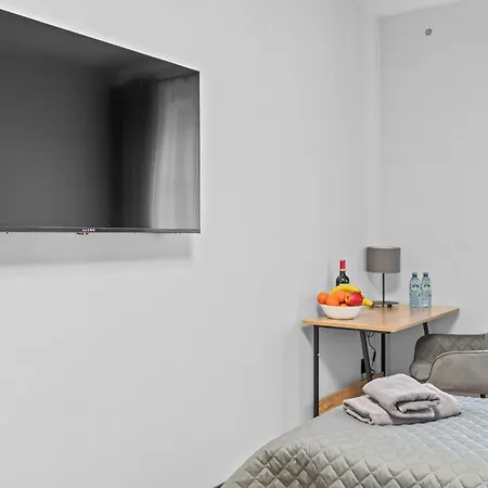 Centrum Prime Apartament Rybnik (Silesia)